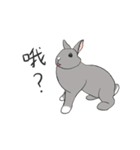 ウサギ雪雪（個別スタンプ：29）