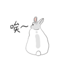 ウサギ雪雪（個別スタンプ：30）
