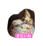 しずちゃんと いっしょ2（個別スタンプ：1）