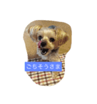 しずちゃんと いっしょ2（個別スタンプ：4）