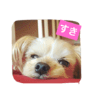 しずちゃんと いっしょ2（個別スタンプ：5）