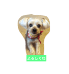 しずちゃんと いっしょ2（個別スタンプ：6）