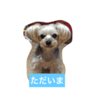 しずちゃんと いっしょ2（個別スタンプ：12）