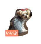 しずちゃんと いっしょ2（個別スタンプ：13）