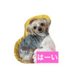 しずちゃんと いっしょ2（個別スタンプ：14）