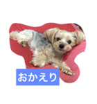 しずちゃんと いっしょ2（個別スタンプ：15）