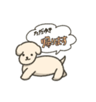 【ただゆき】専用スタンプ（個別スタンプ：12）