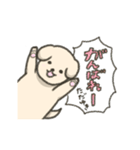 【ただゆき】専用スタンプ（個別スタンプ：16）