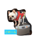 小春＆ショコラ（個別スタンプ：4）