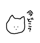 顔の大きな猫（個別スタンプ：22）