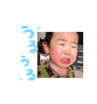 とらろこ（個別スタンプ：3）