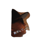 写真スタンプ 第一弾（個別スタンプ：21）