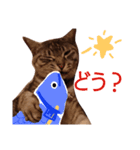 ネコのひなちゃん（個別スタンプ：8）