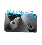 猫の天ぷらスタンプ♫（個別スタンプ：14）