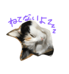 猫の天ぷらスタンプ♫（個別スタンプ：18）