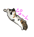 猫の天ぷらスタンプ♫（個別スタンプ：27）