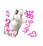 猫の天ぷらスタンプ♫（個別スタンプ：40）