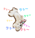 トイプードルのイアリくん第2弾です。（個別スタンプ：8）