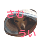 ぬくもる（個別スタンプ：2）