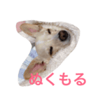 ぬくもる（個別スタンプ：3）