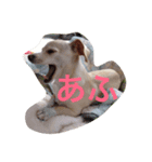ぬくもる（個別スタンプ：4）