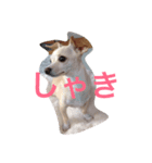 ぬくもる（個別スタンプ：5）