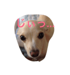 ぬくもる（個別スタンプ：6）