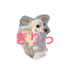 ぬくもる（個別スタンプ：7）