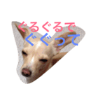 ぬくもる（個別スタンプ：10）