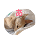 ぬくもる（個別スタンプ：11）