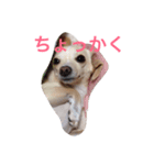 ぬくもる（個別スタンプ：12）