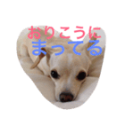 ぬくもる（個別スタンプ：13）