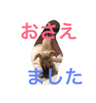 ぬくもる（個別スタンプ：14）