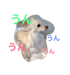 ぬくもる（個別スタンプ：15）