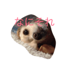 ぬくもる（個別スタンプ：17）