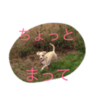 ぬくもる（個別スタンプ：18）