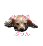 ぬくもる（個別スタンプ：21）