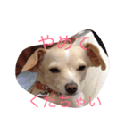 ぬくもる（個別スタンプ：24）