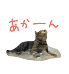 ニアと愉快なお友達（個別スタンプ：3）