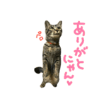 ニアと愉快なお友達（個別スタンプ：5）
