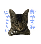 ニアと愉快なお友達（個別スタンプ：8）