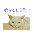 ニアと愉快なお友達（個別スタンプ：12）