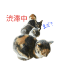 ニアと愉快なお友達（個別スタンプ：17）