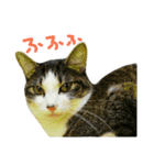 ニアと愉快なお友達（個別スタンプ：20）