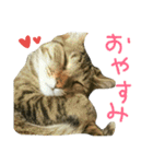 ニアと愉快なお友達（個別スタンプ：22）