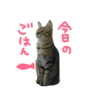 ニアと愉快なお友達（個別スタンプ：23）