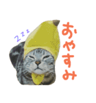 ニアと愉快なお友達（個別スタンプ：27）