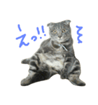ニアと愉快なお友達（個別スタンプ：30）