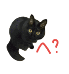 ニアと愉快なお友達（個別スタンプ：32）