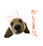 ニアと愉快なお友達（個別スタンプ：38）